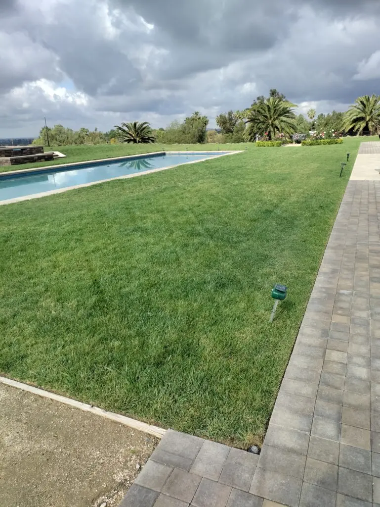 Lush lawn pool and paver patio