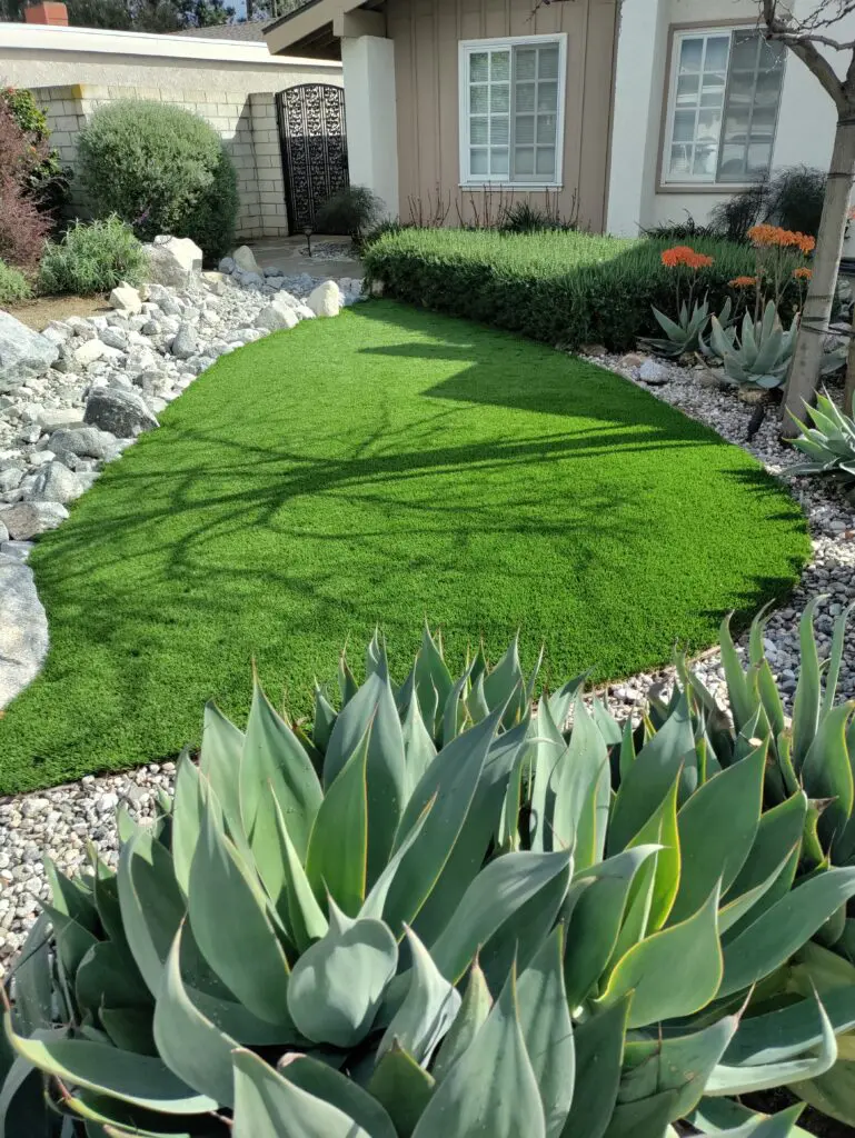Drought tolerant xeriscape with succulents