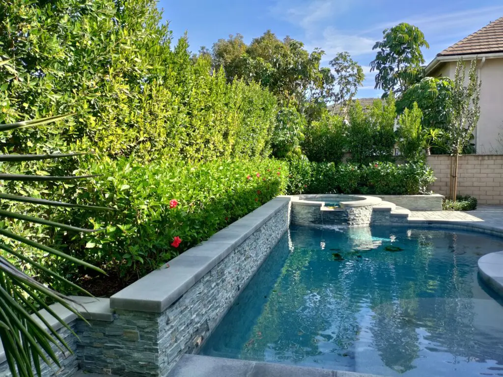 Backyard pool with stone hardscaping