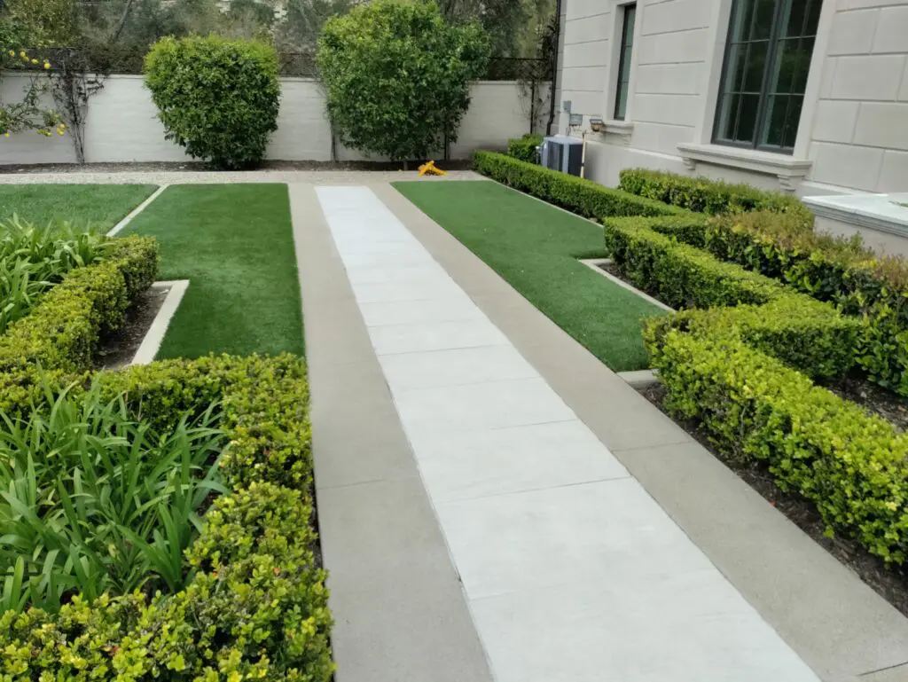 Modern walkway with manicured hedges